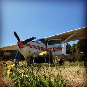 Photo of airplane in field