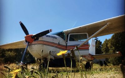 Photo of airplane in field at Point Roberts